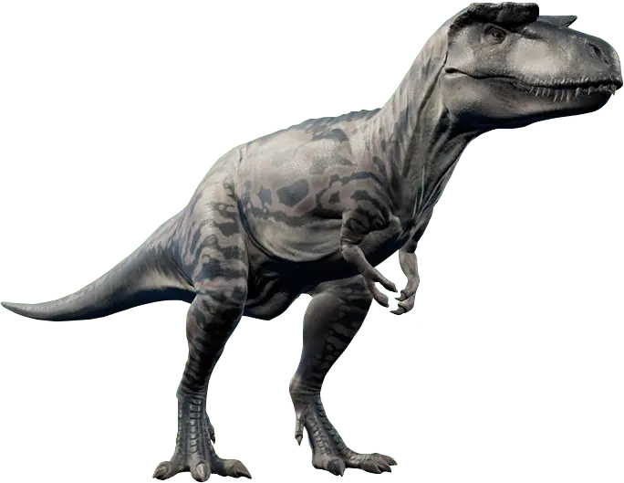 Albertosaurus