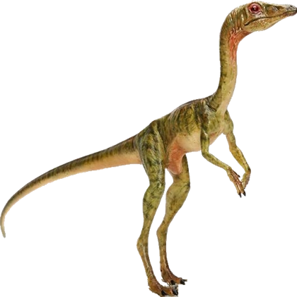 Compsognathus
