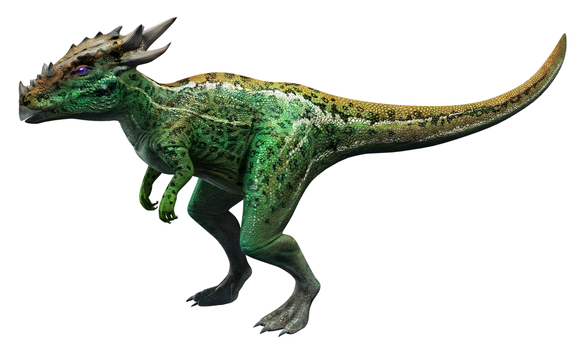 Dracorex