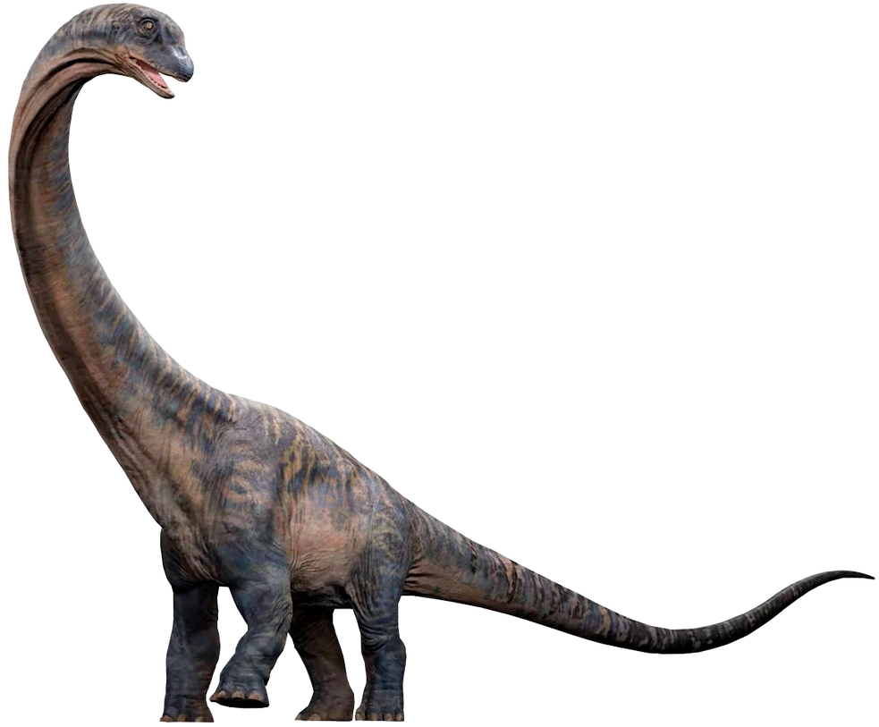 Dreadnoughtus