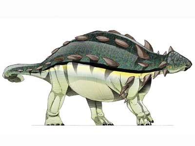 Euoplocephalus