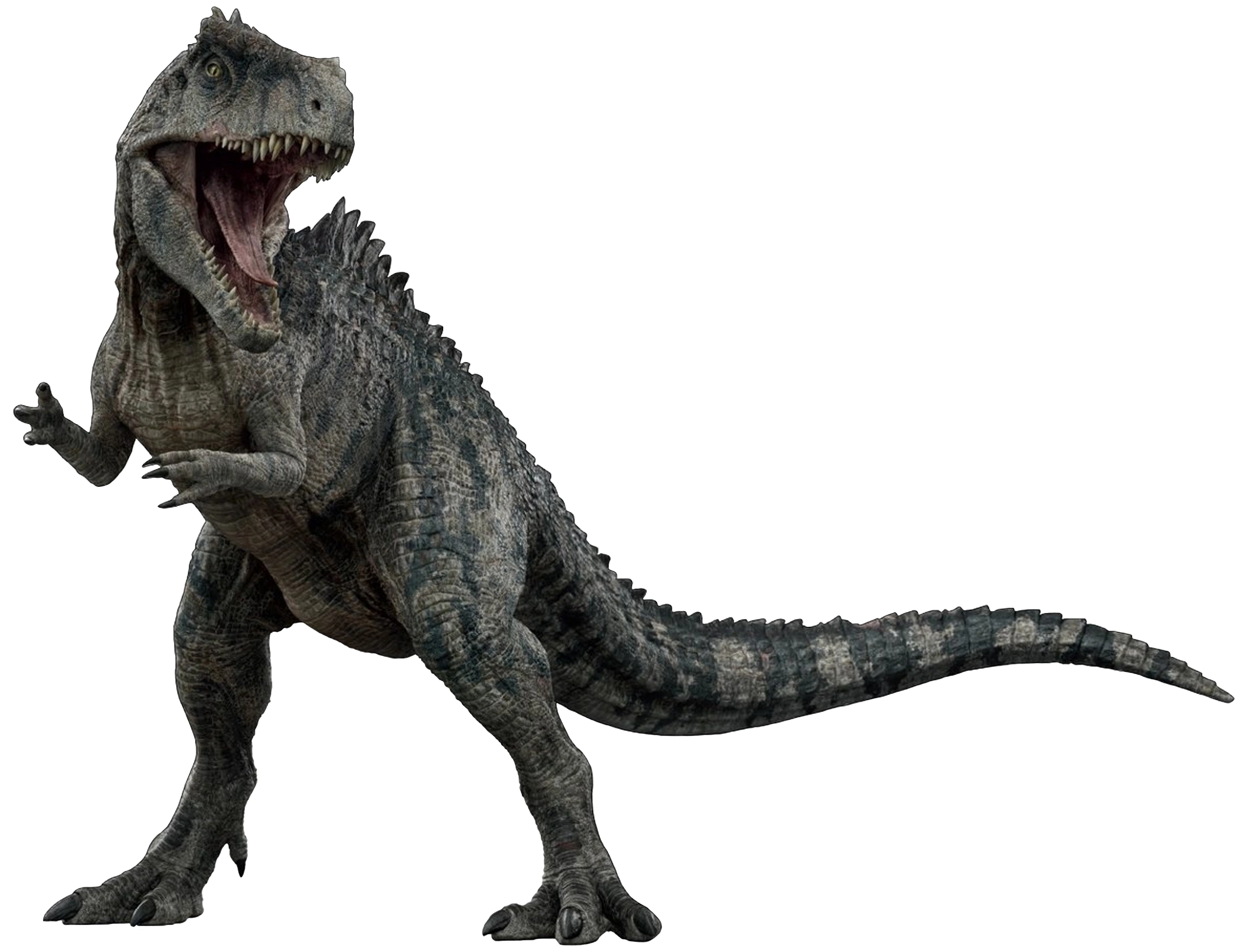 Giganotosaurus