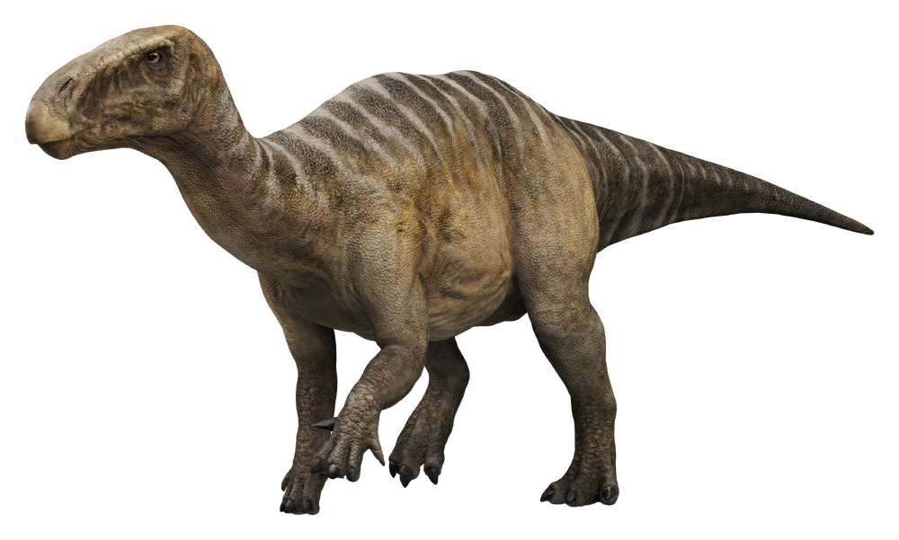 Iguanodon