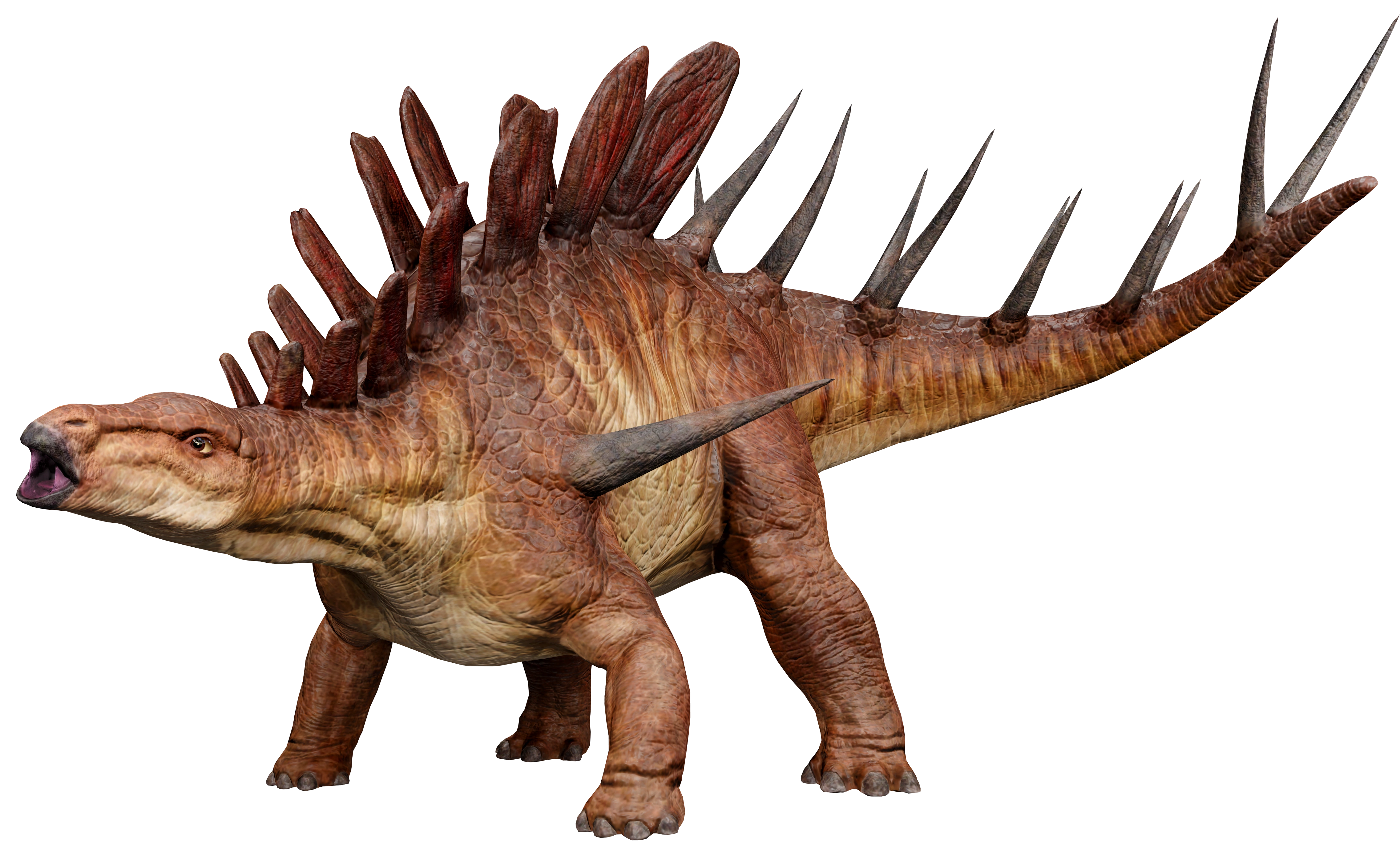 Kentrosaurus