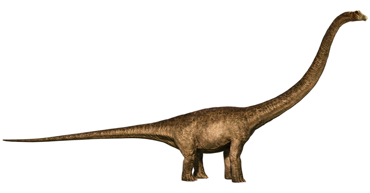 Mamenchisaurus