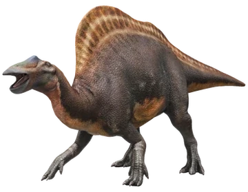 Ouranosaurus