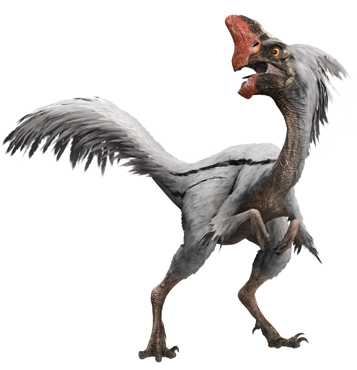 Oviraptor
