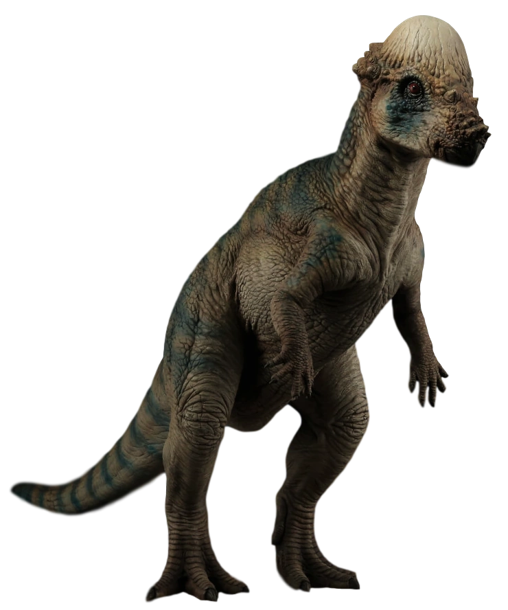 Pachycephalosaurus