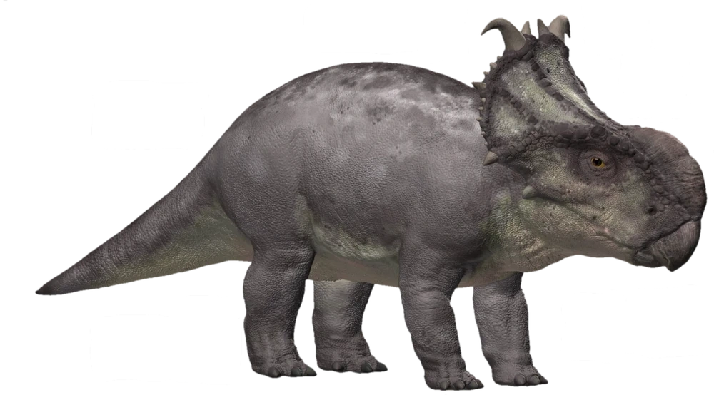 Pachyrhinosaurus