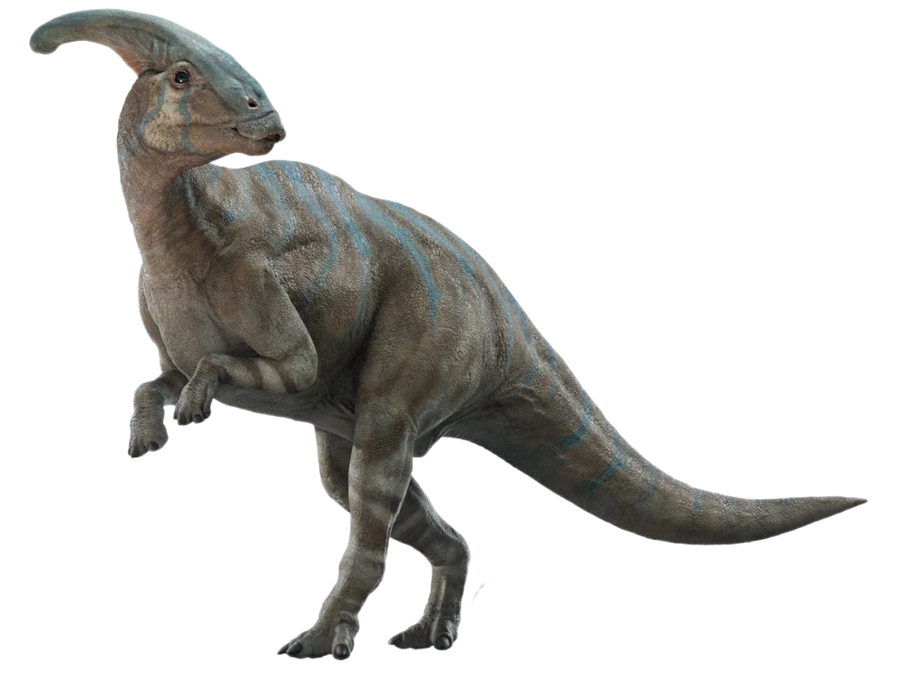 Parasaurolophus