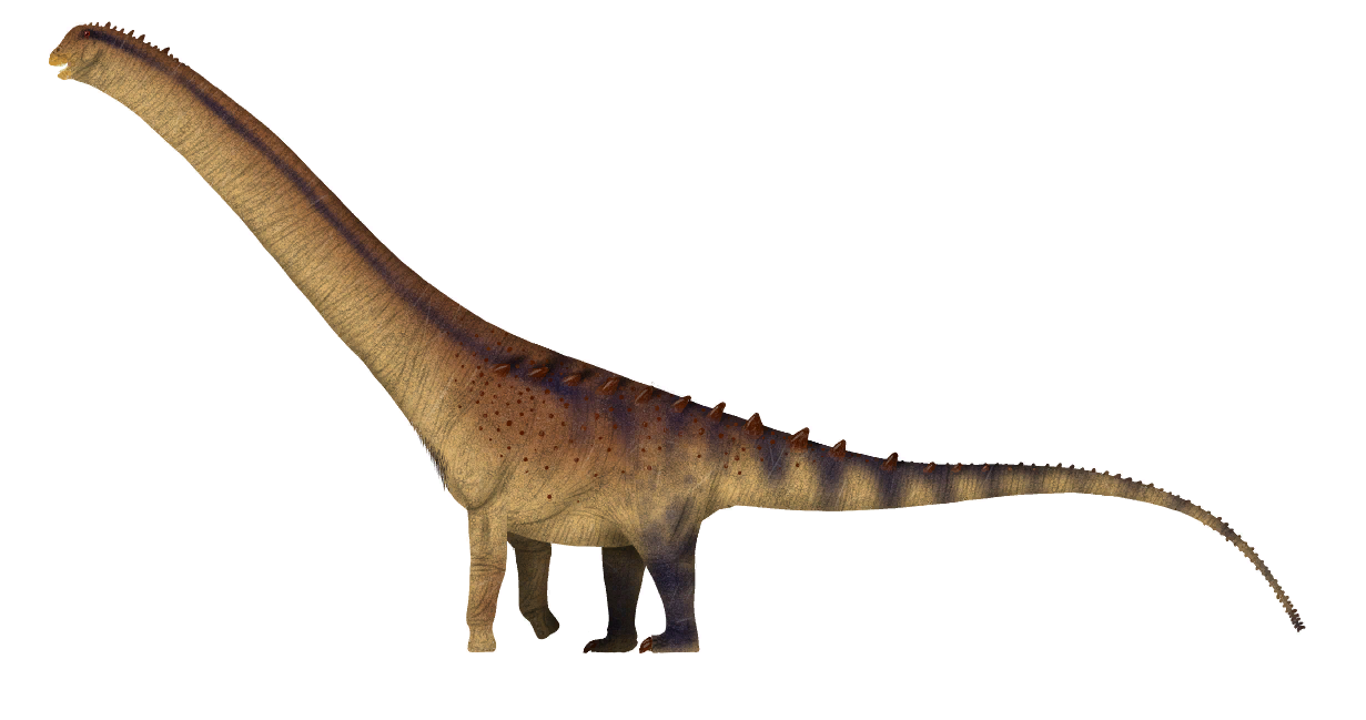 Patagotitan