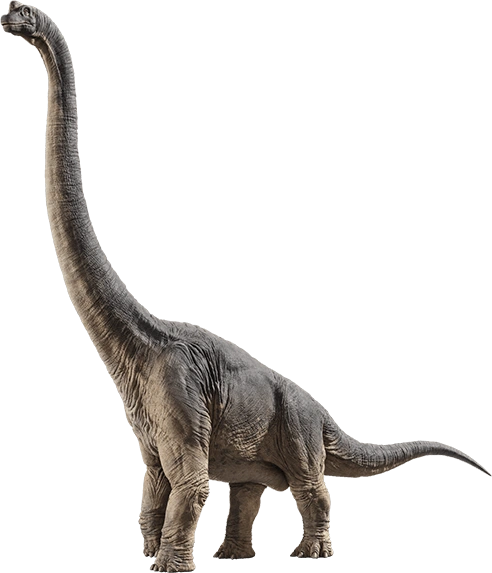 Brachiosaurus