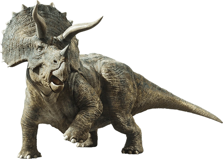 Triceratops